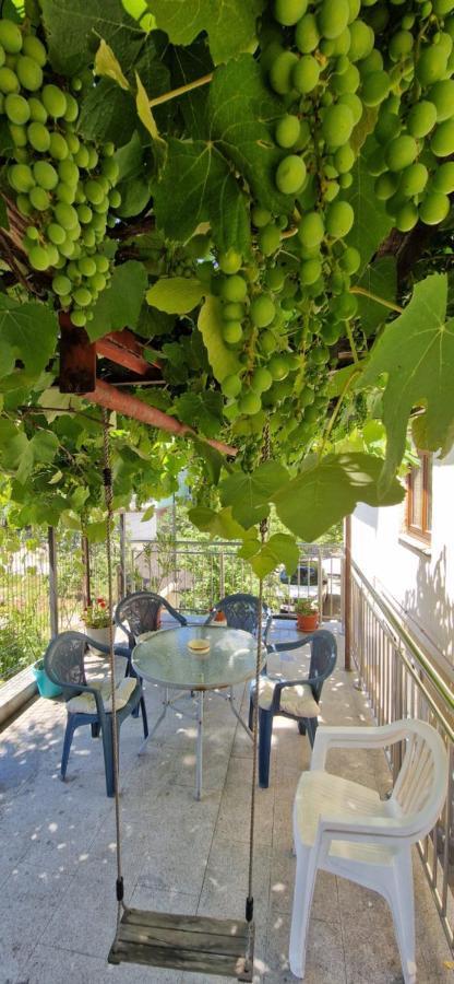 Family Apartment With Garden Sarajewo Zewnętrze zdjęcie