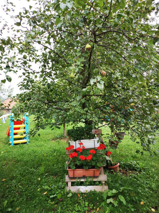 Family Apartment With Garden Sarajewo Zewnętrze zdjęcie