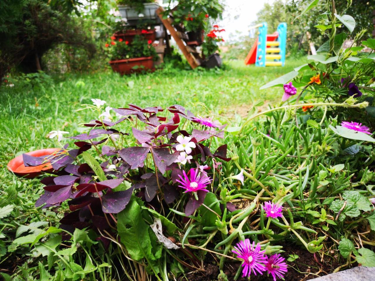 Family Apartment With Garden Sarajewo Zewnętrze zdjęcie
