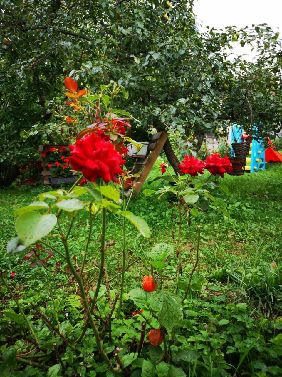 Family Apartment With Garden Sarajewo Zewnętrze zdjęcie