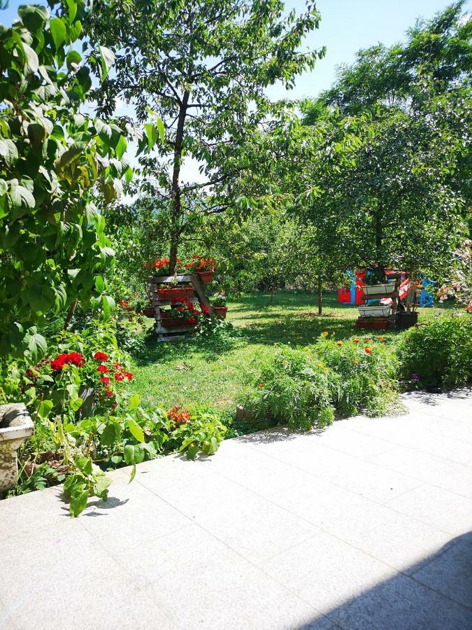 Family Apartment With Garden Sarajewo Zewnętrze zdjęcie
